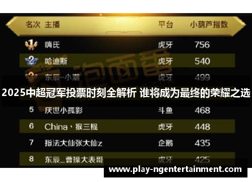 2025中超冠军投票时刻全解析 谁将成为最终的荣耀之选