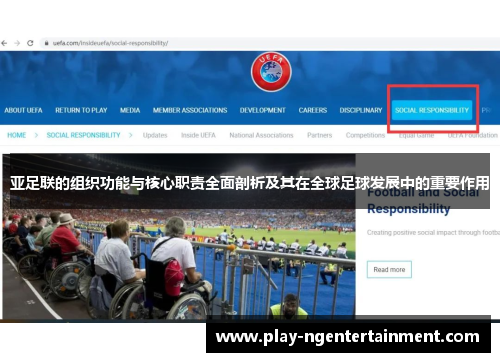 亚足联的组织功能与核心职责全面剖析及其在全球足球发展中的重要作用