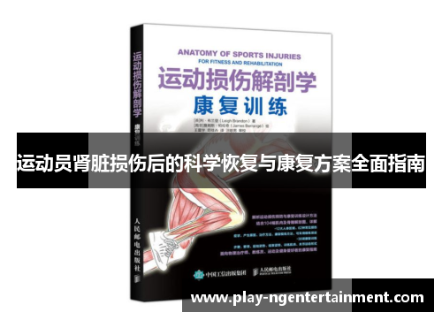 运动员肾脏损伤后的科学恢复与康复方案全面指南