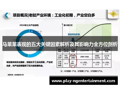 马莱莱表现的五大关键因素解析及其影响力全方位剖析