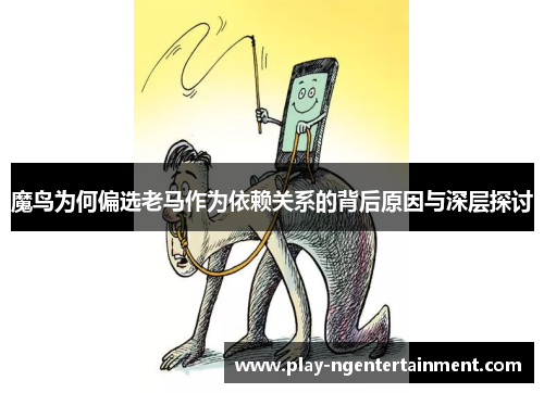 魔鸟为何偏选老马作为依赖关系的背后原因与深层探讨