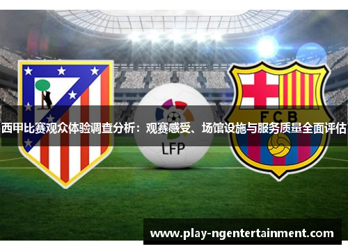 西甲比赛观众体验调查分析：观赛感受、场馆设施与服务质量全面评估